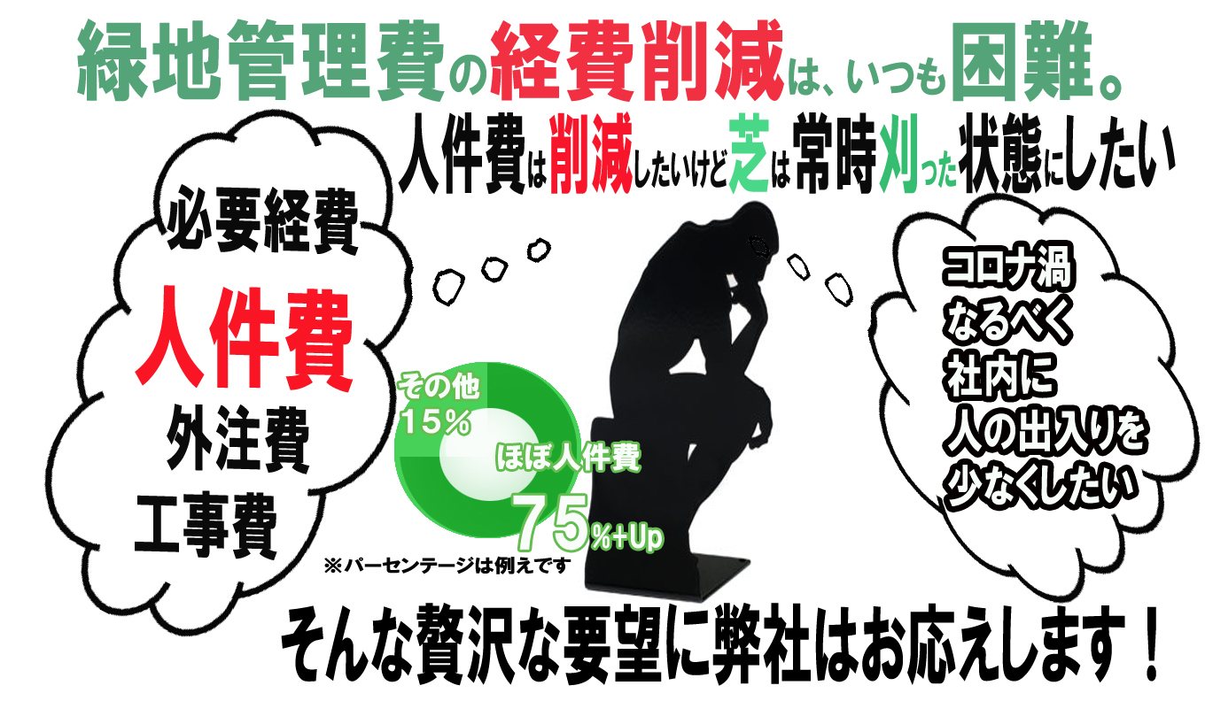 除草後のキャンパス