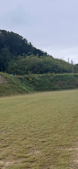 ロボット芝刈機による除草作業