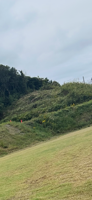 芝刈りロボットの稼働風景