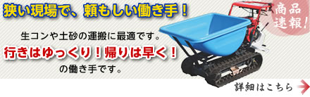まごの手もみじ